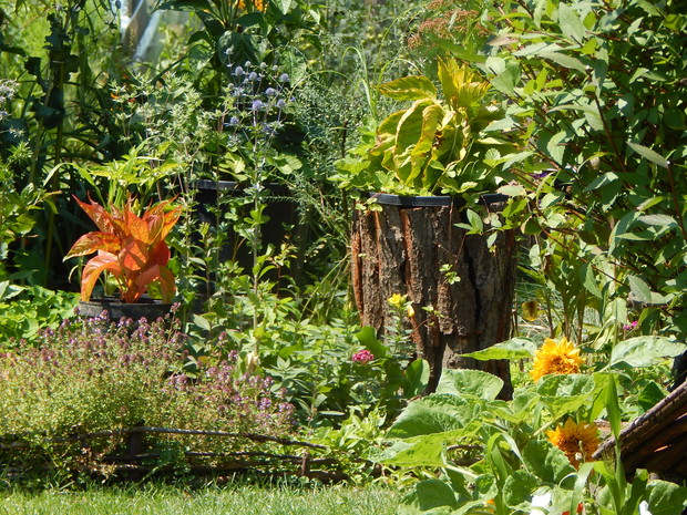 Jeden z moich sposobów na kamuflaż kwiatowej donicy