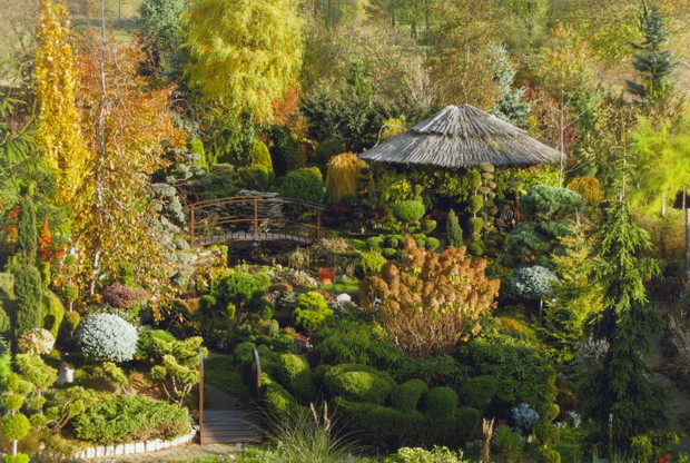 Jesień w moim ogrodzie jest cudowna.