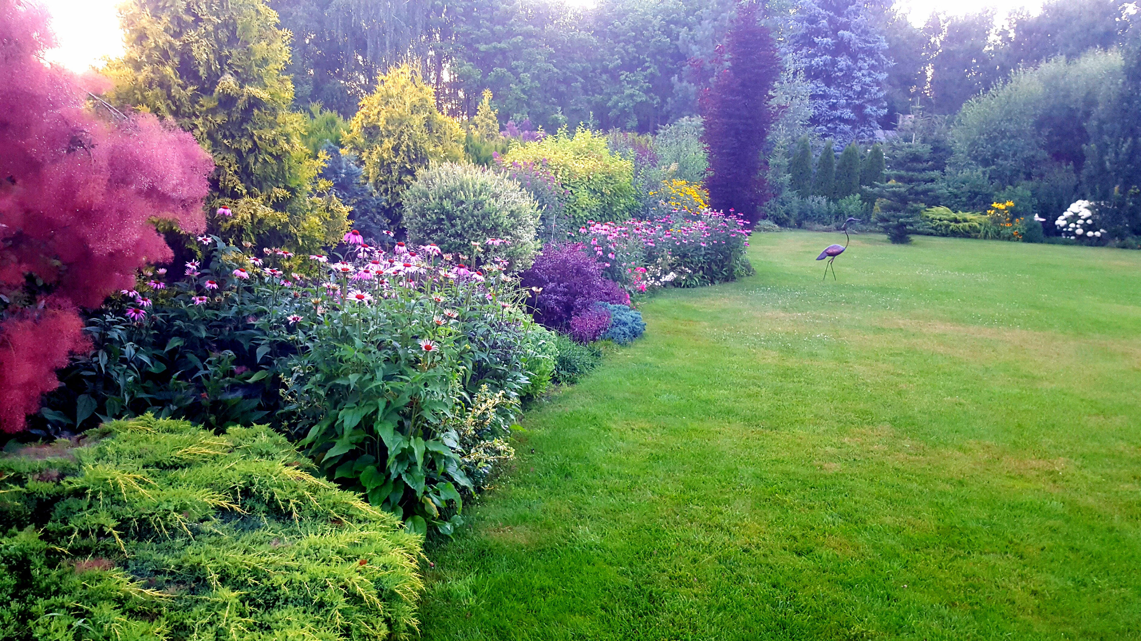 Miedziana rzeźba żurawia przechadzającego się po trawniku. Z daleka wygląda jak żywy. 