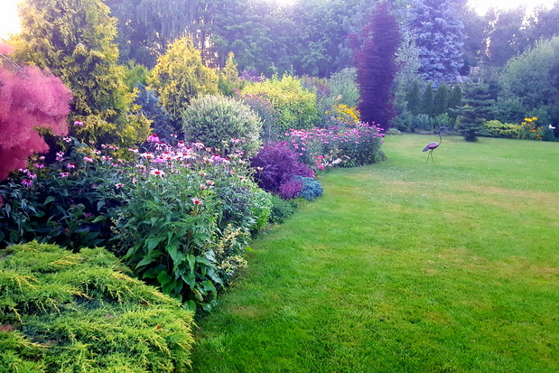 Miedziana rzeźba żurawia przechadzającego się po trawniku. Z daleka wygląda jak żywy.