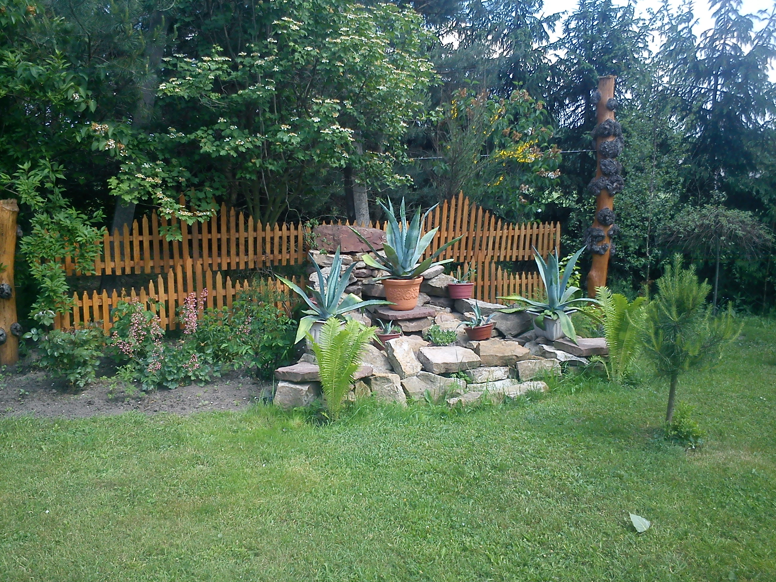 Nasz agawnik - widok z mostu