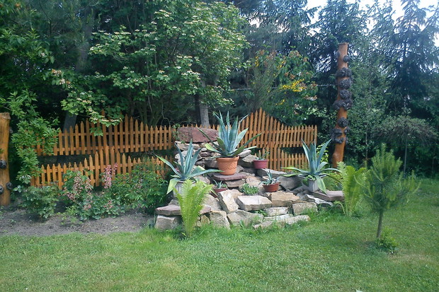 Nasz agawnik - widok z mostu