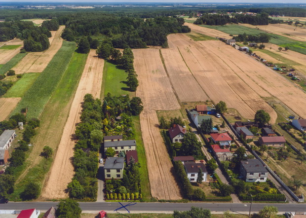 Nasza działka zlotu ptaka.