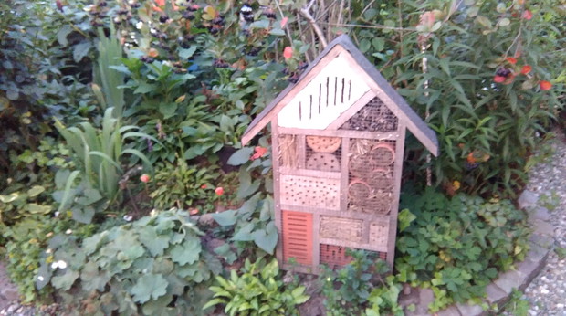 Oprócz budek lęgowych,poidełek,musiał powstać hotel dla owadów.
