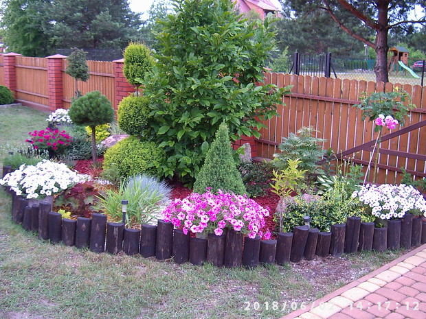 Po tulipanach czas na surfinie