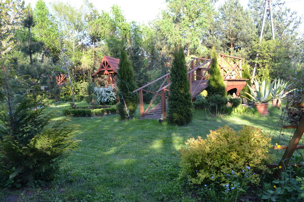 Przed mostem swoje stałe miejsce mają dwie piękności.