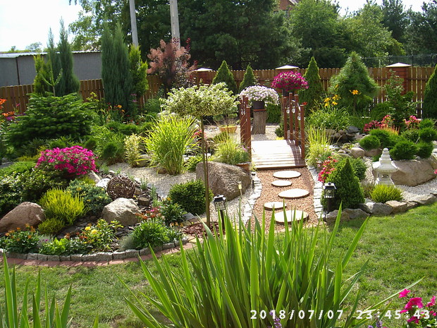 Przez mostek do surfinii