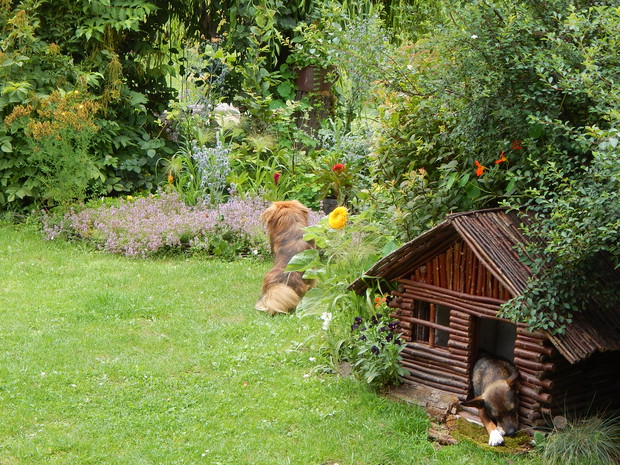 Przydomowe towarzystwo