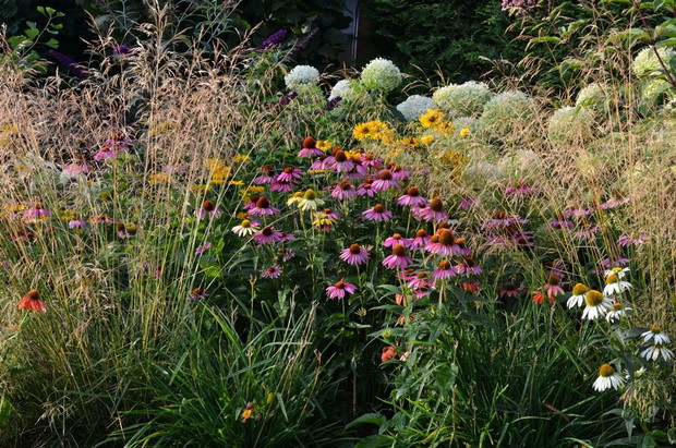 róż, żółty i biel