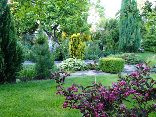 Różnorodność to podstawa