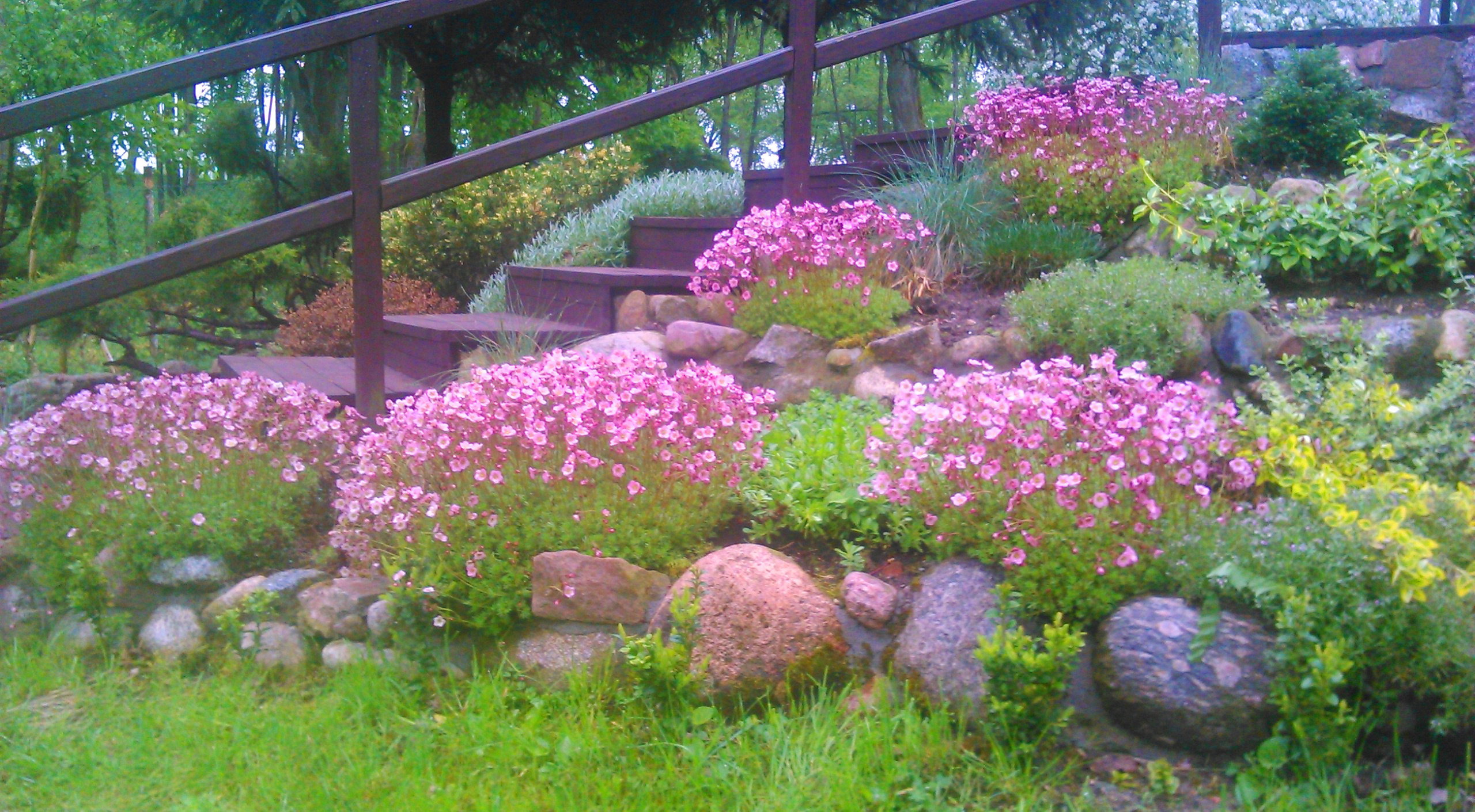 Schody prowadzące do mojego raju