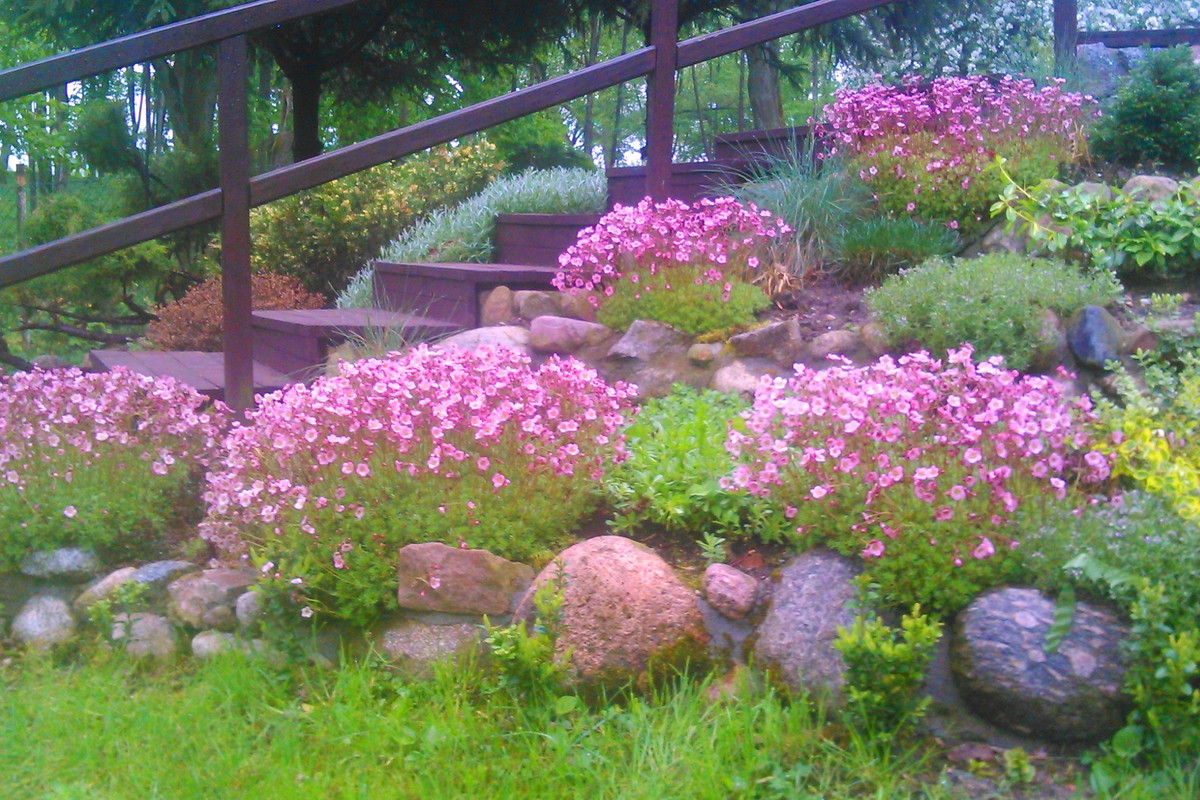 Schody prowadzące do mojego raju