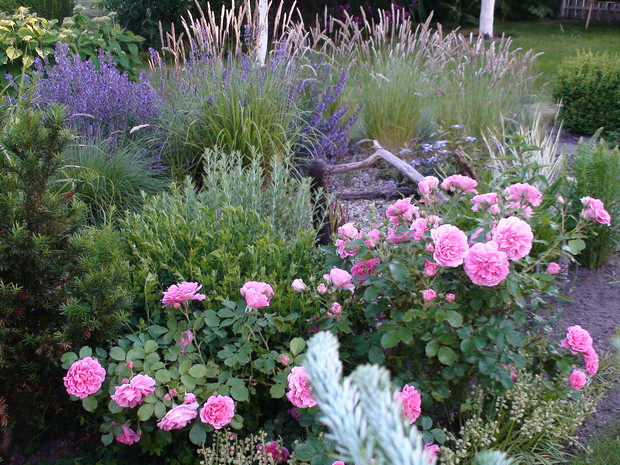 Śródziemnomorskie klimaty