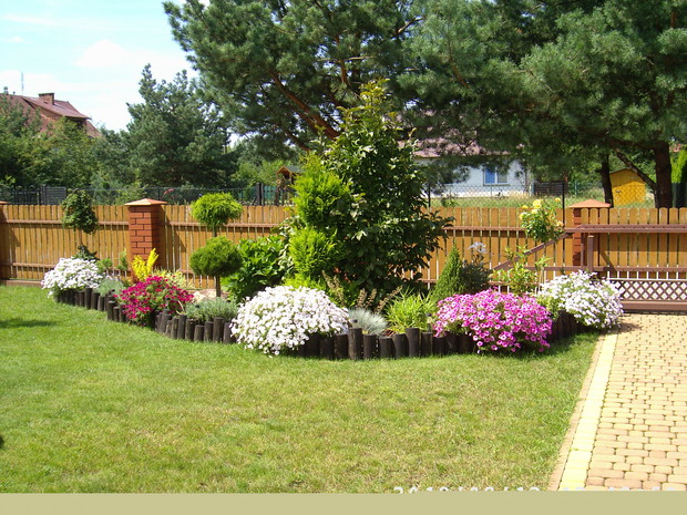 Surfinie coraz większe