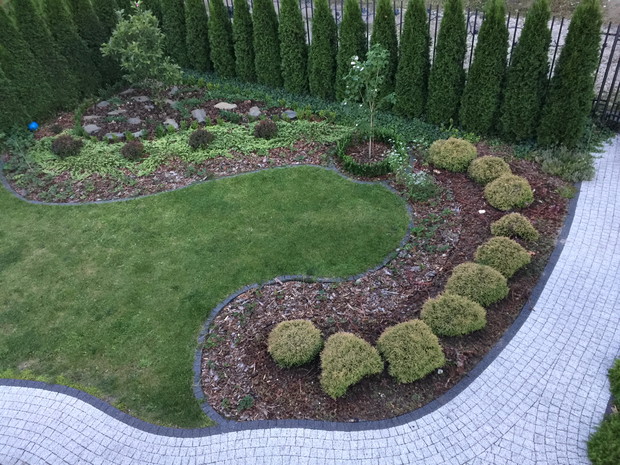 TRUSKAWKI WŚRÓD IGLAKÓW