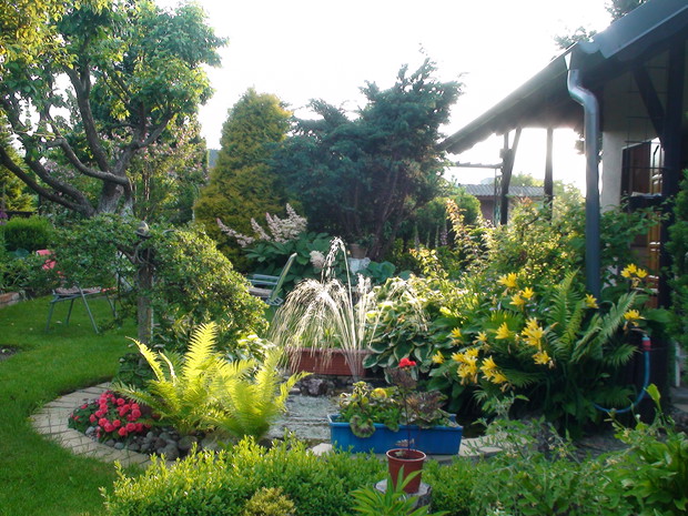 W promieniach słońca