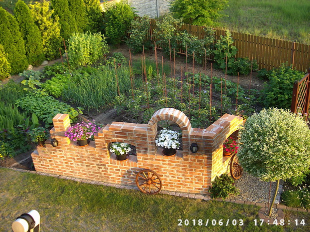 Warzywa coraz większe