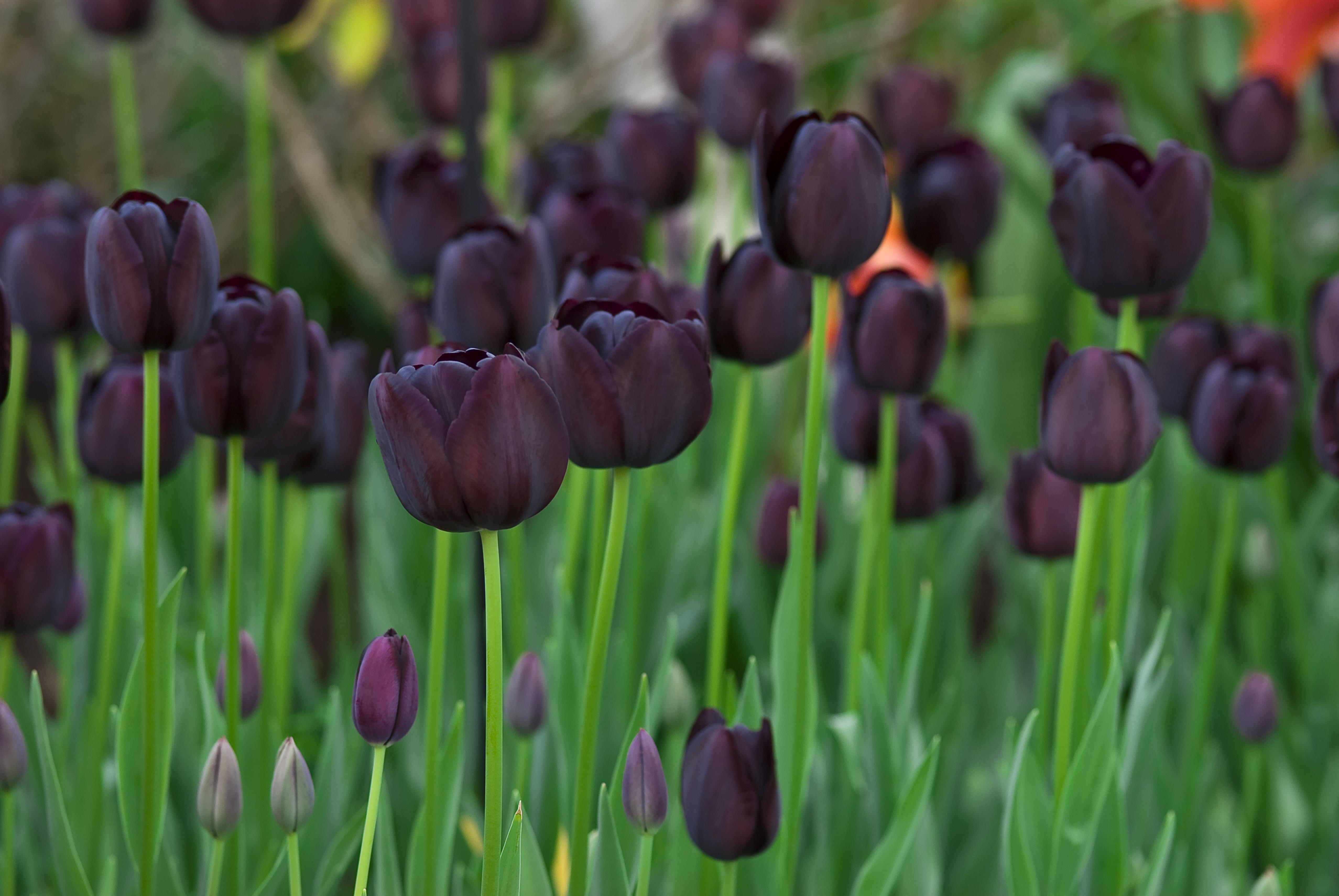  (zdj.: materiały producenta)