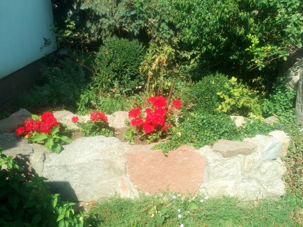 Zieleń piękna i przełamana czerwienią pelargonj, ale trzeba je ładnie zaprezentować, dlatego własnoręcznie wykonany kwietnik wygląda uroczo.