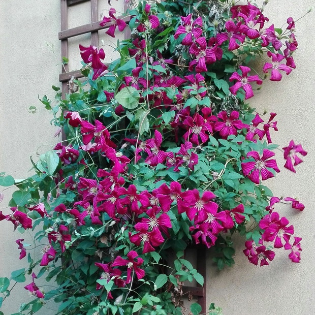 Życzę samych słonecznych dni w przyszłym roku.
Do zobaczenia