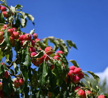 thumb_400x300_10