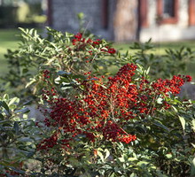 thumb_400x300_10