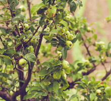 thumb_400x300_10