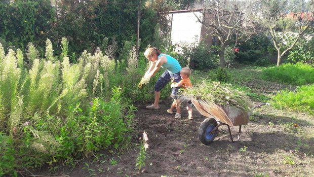 Babcia walczy z Frankiem z chwastami;-)