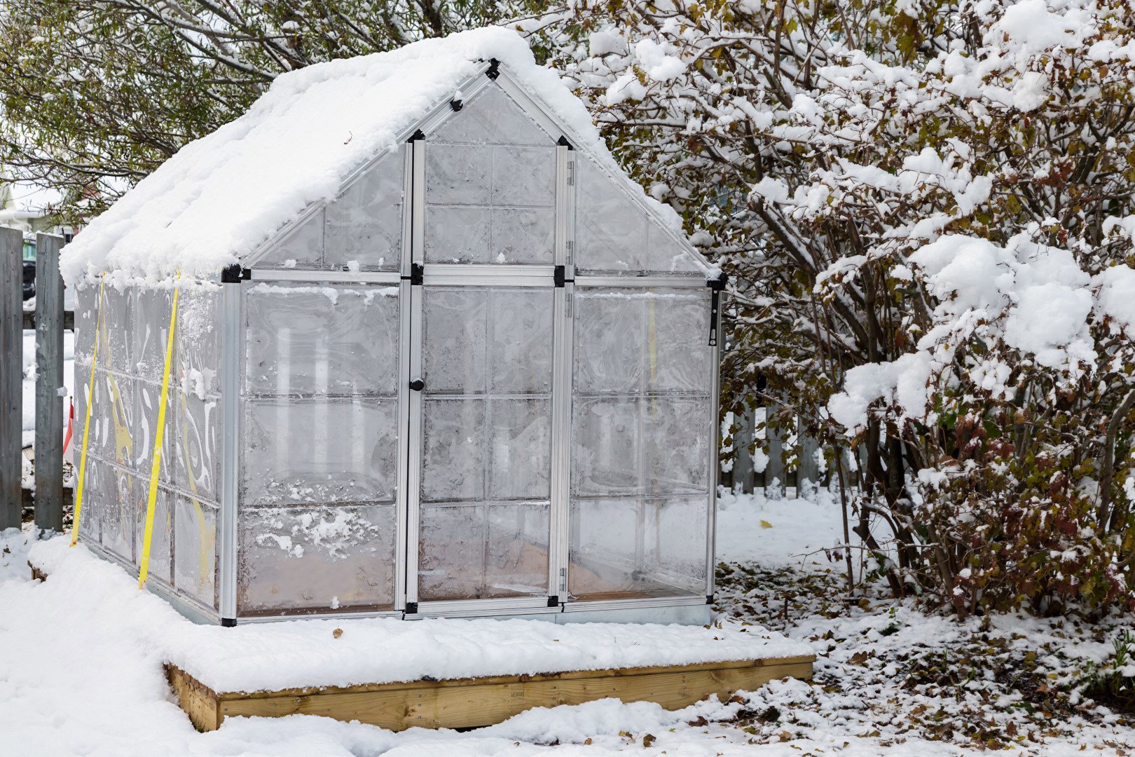 Docieplona szklarnia pozwala na przetrwanie roślin w niej zimujących w lepszej formie.  (zdj.: Adobe Stock)