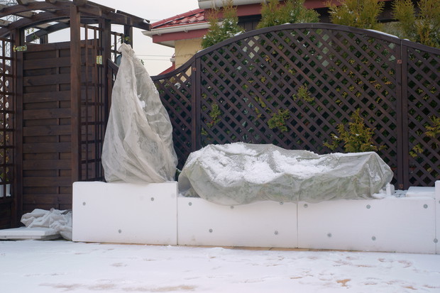 Dodatkową ochroną wrażliwych na mróz roślin jest ukrycie ich donic w styropianie. (zdj.: Adobe Stock)