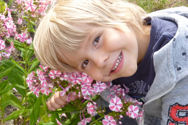 floksy pachną jak cukierki..