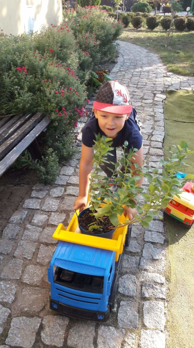 Franek transportuje nowa roślinkę