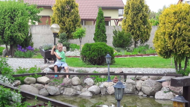 Franek wypatruje złotej rybki