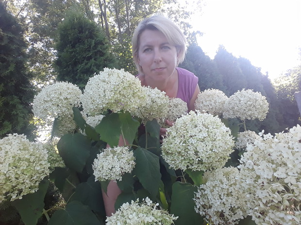 Hortensja od mojego taty.