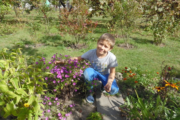 jesieni czas...to astrów czas