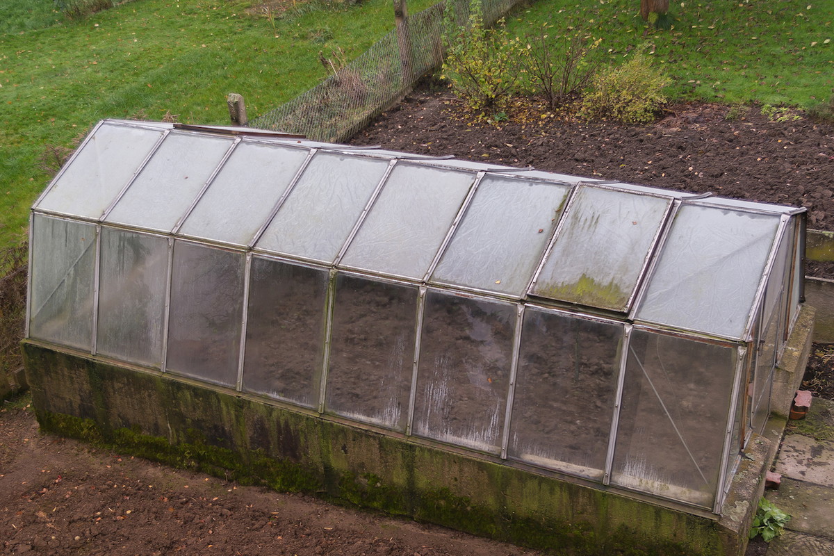 Jesienią oraz zimą szczególnie ważne jest odpowiednie sterowanie temperaturą wewnątrz szklarni. (zdj.: Adobe Stock)