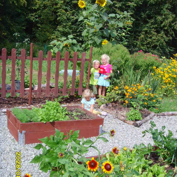 Kącik warzywny z podwyższonymi rabatami, który powstał w tym roku