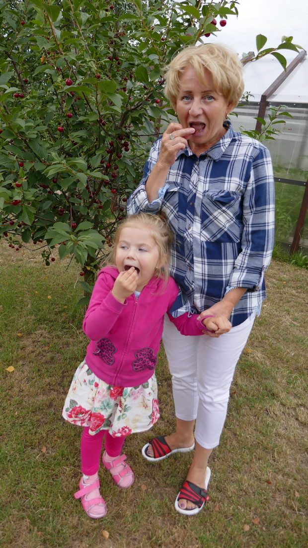 Klaudia z babcią uwielbiają wiśnie