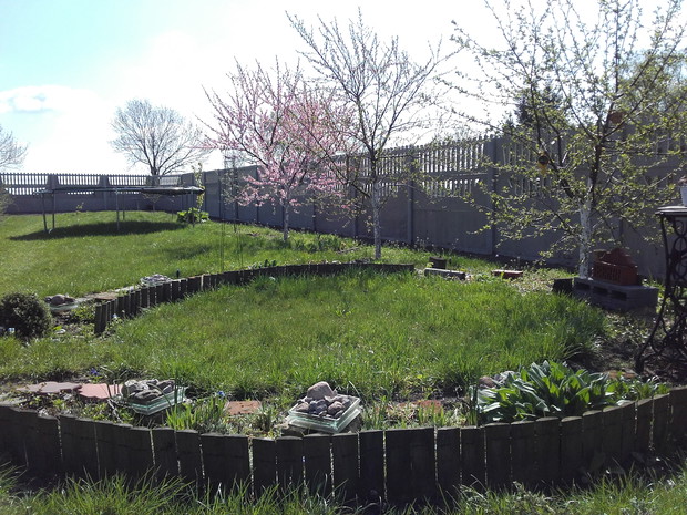 Między rabatami znalazło się miejsce dla trampoliny