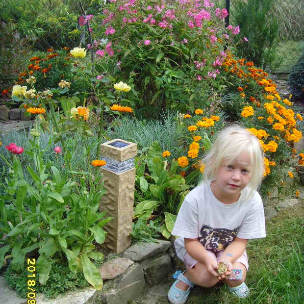 Na pierwszym planie żabka. Bardzo licznie nas odwiedzają żaby, ropuchy, jaszczurki a ostatnio zauważyliśmy zaskrońca.