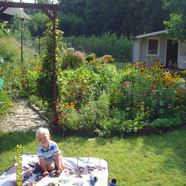 Nasz syn Januszek układa klocki na kocyku