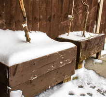 Niektórym roślinom do udanego przezimowania wystarczy umiejscowienie ich w drewnianych skrzynkach wypełnionych np. liśćmi służącymi za izolację. (zdj.: iStock)