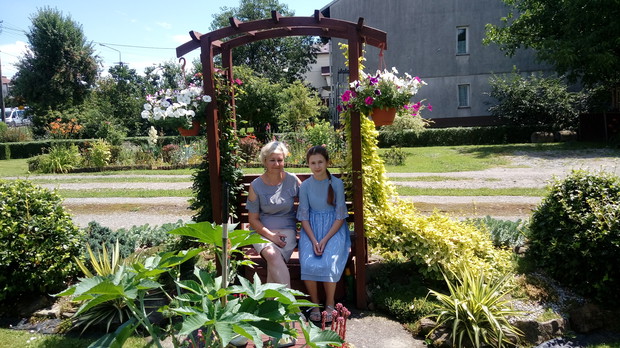 Pergola powoli zarasta powojnikami.