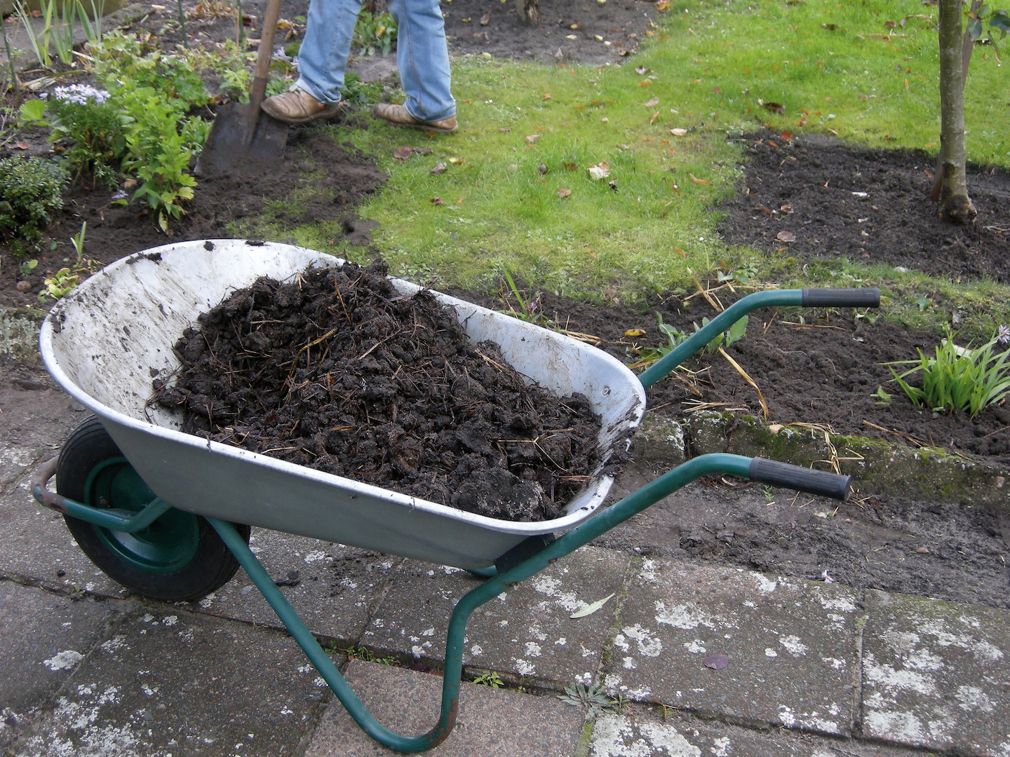 Przekopanie gleby i wymieszanie jej z kompostem lub świeżym podłożem jest kluczowe dla poprawy jej jakości. (zdj.: Adobe Stock)