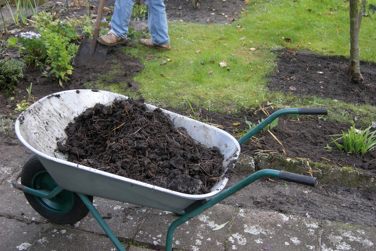 Przekopanie gleby i wymieszanie jej z kompostem lub świeżym podłożem jest kluczowe dla poprawy jej jakości. (zdj.: Adobe Stock)