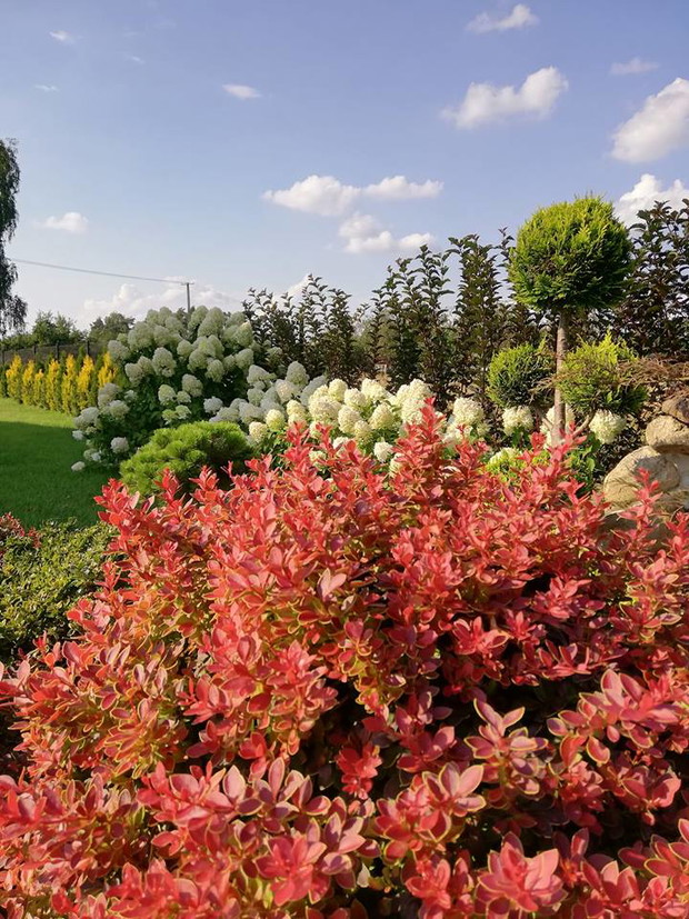 spacer po ogrodzie :) 