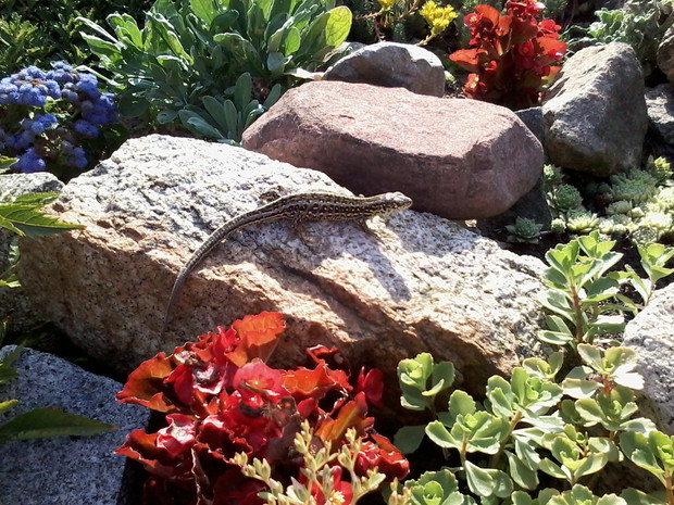 Takich gości też mamy dużo