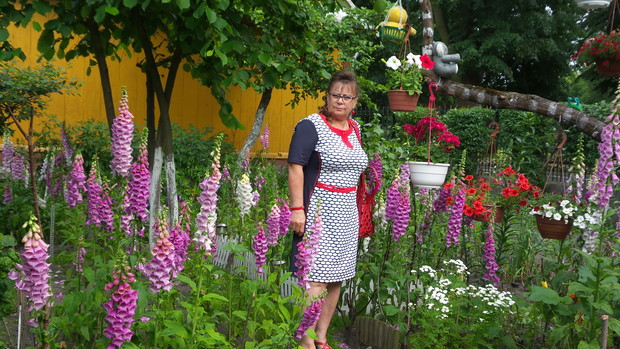 Te naparstnice podziwiali wszyscy przechodnie.