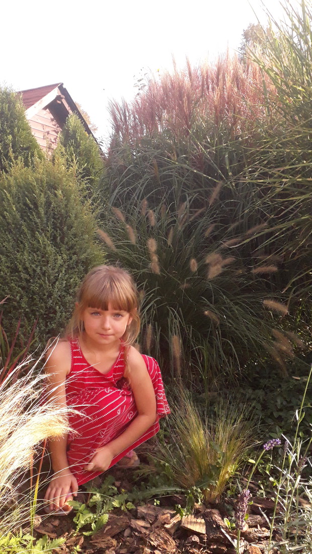 Trawy moje ulubione.