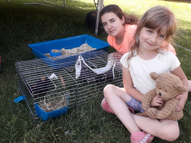 W ogrodzie jest miejsce dla zwierząt.